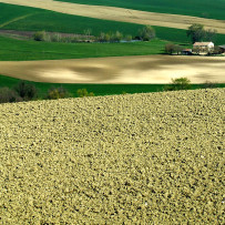 Arcevia, campagna marchigiana. Pasqua 2007