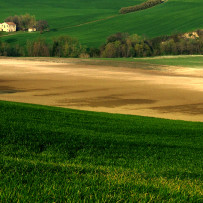 Arcevia, campagna marchigiana. Pasqua 2007