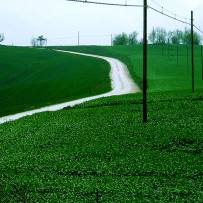 Arcevia, campagna marchigiana. Pasqua 2007