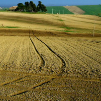 Arcevia, campagna marchigiana. Pasqua 2007