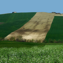 Arcevia, campagna marchigiana. Pasqua 2007