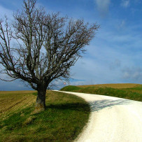 Arcevia, campagna marchigiana. Pasqua 2007