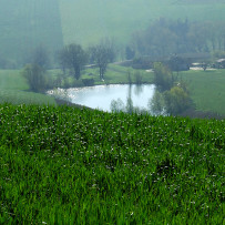 Arcevia, campagna marchigiana. Pasqua 2007