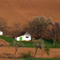 Fruska Gora. Serbia 2012