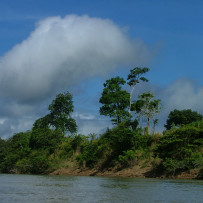 Verso Yaxchilan. Dal fiume Usumacinta il confine con il Guatemala.