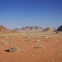 Wadi Rum. Settembre 2015