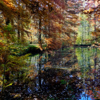 Autunno alla Zelata. 2015