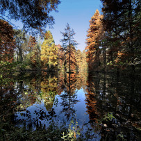 Autunno alla Zelata. 2015