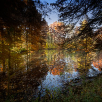 Autunno alla Zelata. 2015