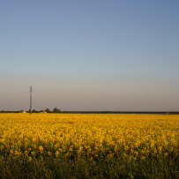 Il Delta del Po