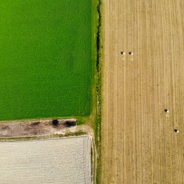 created by dji camera