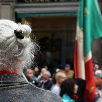25aprile