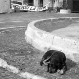 L'Aquila: fuori dalla zona rossa
